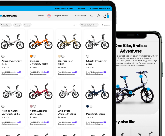 Blaupunkt's eBike collection web page, featuring models and features, depicting success with ecommerce website services