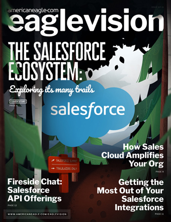 Salesforce Eaglevision 