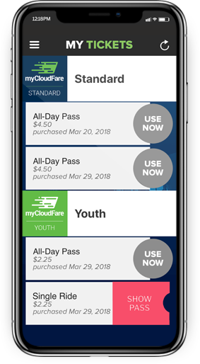 Smartphone displaying online transit passes, representing business success with mobile ticket app