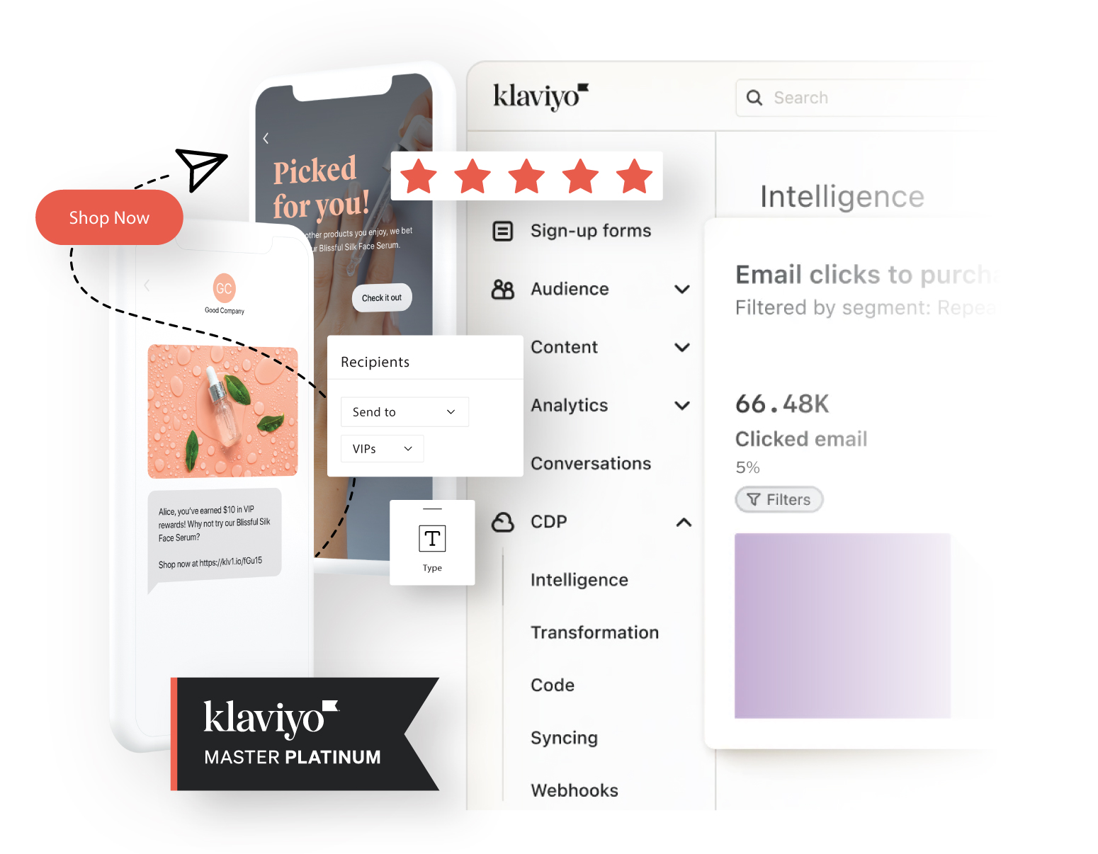 Klaviyo interface with Klaviyo Master Gold agency badge, showcasing success with Klaviyo Silver Advisor partner services