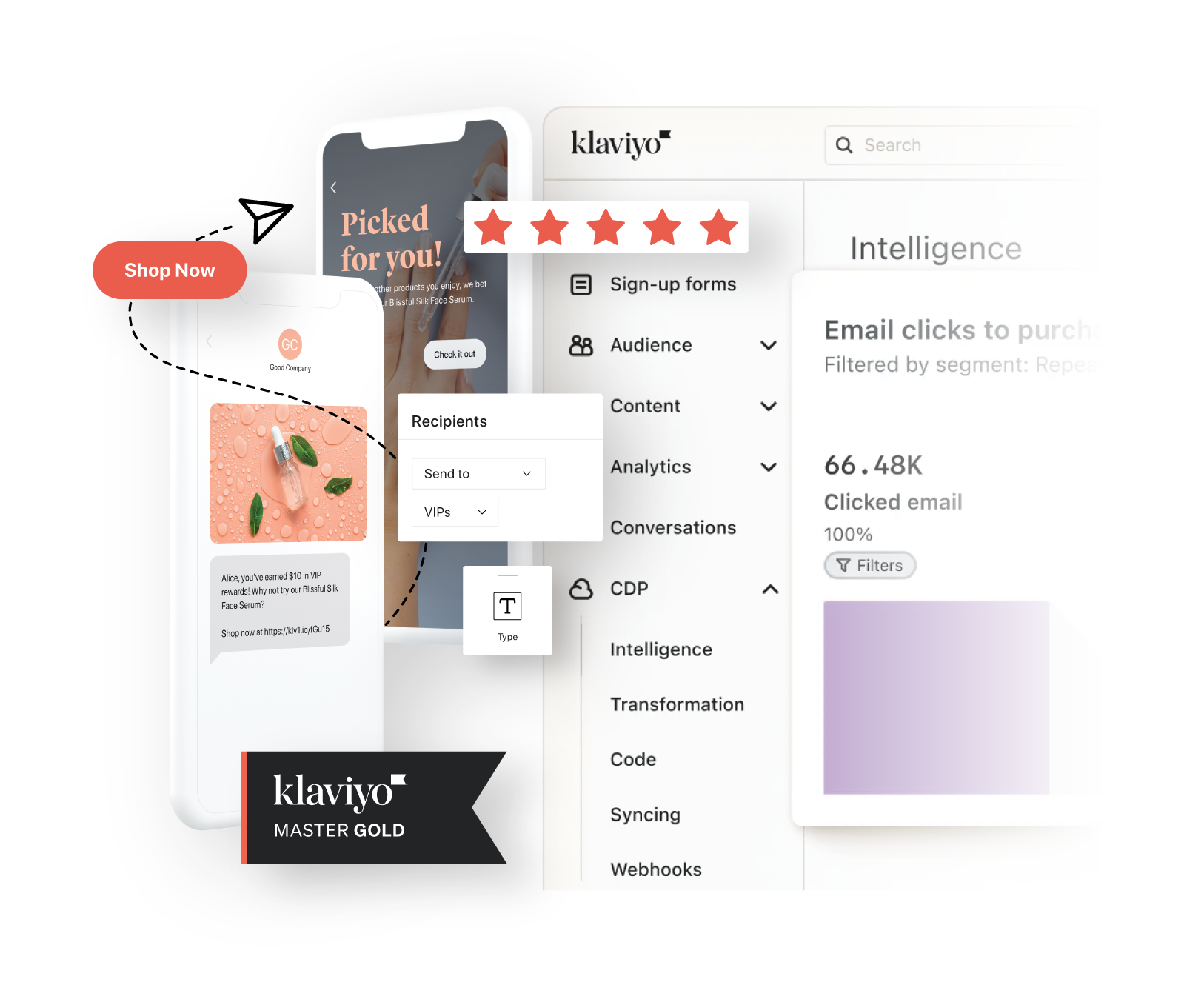 Klaviyo interface with Klaviyo Master Gold agency badge, showcasing success with Klaviyo Silver Advisor partner services