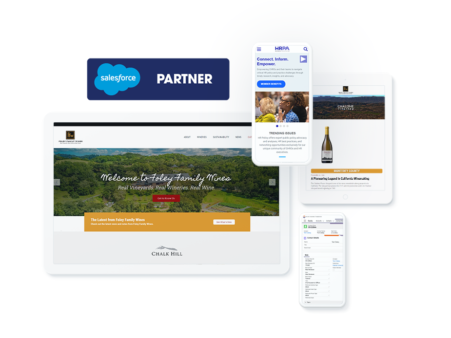 Salesforce Consulting Partner