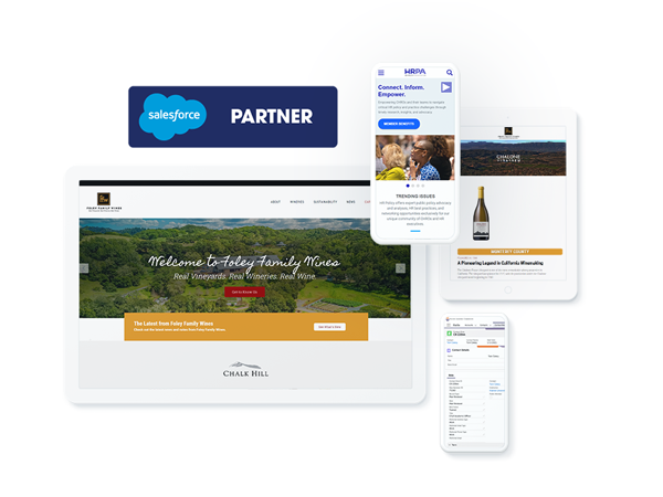 Salesforce Consulting Partner