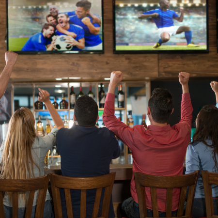People celebrating while watching sports on TV, depicting success with digital agency services for sports betting company