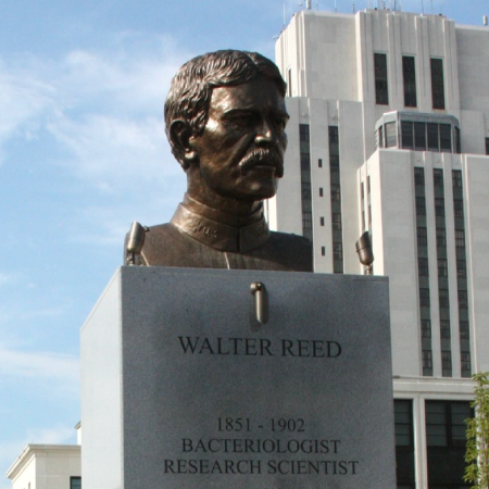 Walter Reed Statue NBA Legend Willis Reed Stands Next To The Statue