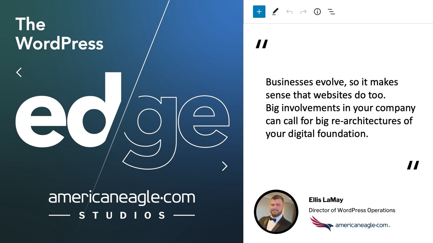 Quote from Ellis LaMay, Director of WordPress Operations at Americaneagle.com